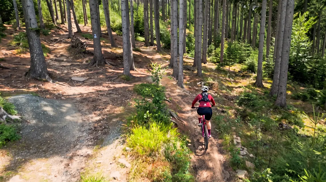 Autorka trasy jedzie odcinkiem leśnym  Singletrack Glacensis.