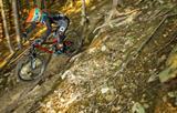 MTB hardtail czy full – co wybrać?