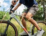 Ranking rowerów 2026 – najlepsze modele w każdym budżecie