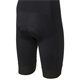 Spodenki rowerowe z wkładką AGU Essential Bibshort