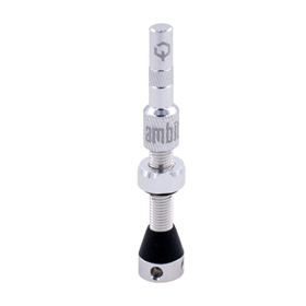 Wentyl AMBIT Tubeless Valves Realm
