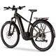 Rower elektryczny BESV TRX-B URBAN 1.1