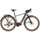 Rower elektryczny BULLS Daily Grinder Evo SX