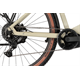 Rower elektryczny BULLS Iconic Evo 1 29