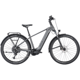 Rower elektryczny BULLS Iconic Evo 2 29