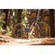 Rower MTB BULLS Wild Edge Team
