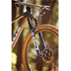 Rower MTB BULLS Wild Edge Team