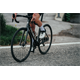 Rower szosowy COLNAGO V4 Ultegra Di2