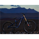 Rama MTB DARTMOOR Thunderbird FR