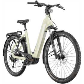 Rower elektryczny FLYER G1 Upstreet 5.10