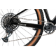 Rower MTB FOCUS Raven 8.9