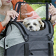 Torba na kierownicę KLICKFIX Doggy