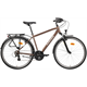 Rower trekkingowy KROSS Explorer 1.0