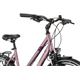 Rower trekkingowy PEGASUS Piazza