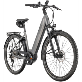 Rower elektryczny PEGASUS Premio Evo 10
