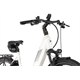 Rower elektryczny PEGASUS Premio Evo 10