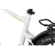 Rower elektryczny RAYMON CrossRay E 5.0 9S M350