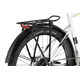 Rower elektryczny RAYMON CrossRay E 5.0 9S M350