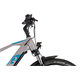 Rower elektryczny RAYMON CrossRay E 6.0 9S M350