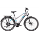 Rower elektryczny RAYMON CrossRay E 6.0 9S M350