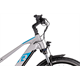 Rower elektryczny RAYMON CrossRay E 6.0 9S M350