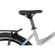 Rower elektryczny RAYMON CrossRay E 6.0 9S M350