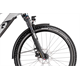 Rower elektryczny RAYMON CrossRay FS E 5.0 9S M350
