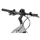 Rower elektryczny RAYMON CrossRay FS E 5.0 9S M350