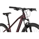 Rower MTB RAYMON HardRay Nine 2.0