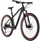 Rower MTB RAYMON HardRay Nine 6.0