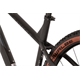 Rower MTB RAYMON HardRay Nine 6.0