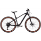 Rower MTB RAYMON HardRay Nine 6.0