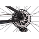 Rower MTB RAYMON HardRay Nine 6.0