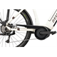 Rower elektryczny RAYMON Metmo Acera (1x8)