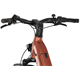 Rower elektryczny RAYMON Metmo Nexus (1x8)