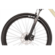 Rower MTB RAYMON Nayta Comp