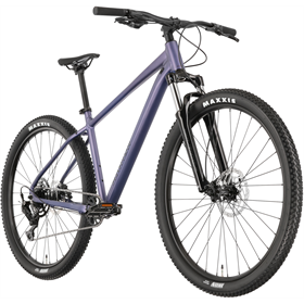 Rower MTB RAYMON Nayta Comp