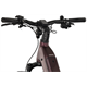 Rower elektryczny RAYMON Tavano Pro