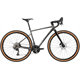 Rower gravel RAYMON Territ Pro (2x11)
