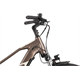 Rower elektryczny RAYMON TourRay E 5.0 9S M350