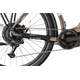 Rower elektryczny RAYMON TourRay E 5.0 9S M350