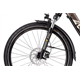 Rower elektryczny RAYMON TourRay E 5.0 Gent 9S M350