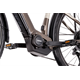 Rower elektryczny RAYMON TourRay E 5.0 Gent 9S M350