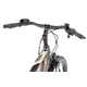 Rower elektryczny RAYMON TourRay E 5.0 Gent 9S M350