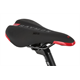 Rower dziecięcy RAYMON TwoRay 1.0