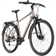 Rower trekkingowy RAYMON Zayn Comp