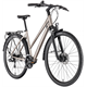 Rower trekkingowy RAYMON Zayn Comp