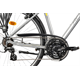 Rower trekkingowy ROMET Wagant