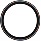 Opona SCHWALBE Pro One Evolution