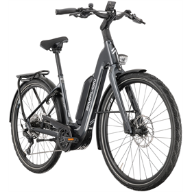 Rower elektryczny SIMPLON Chenoa 365 :E Essential+